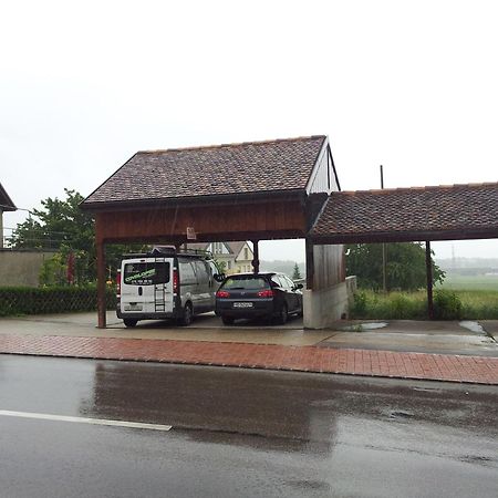 Bed and Breakfast Au Coeur Du Vignoble Sur Bursins Zewnętrze zdjęcie