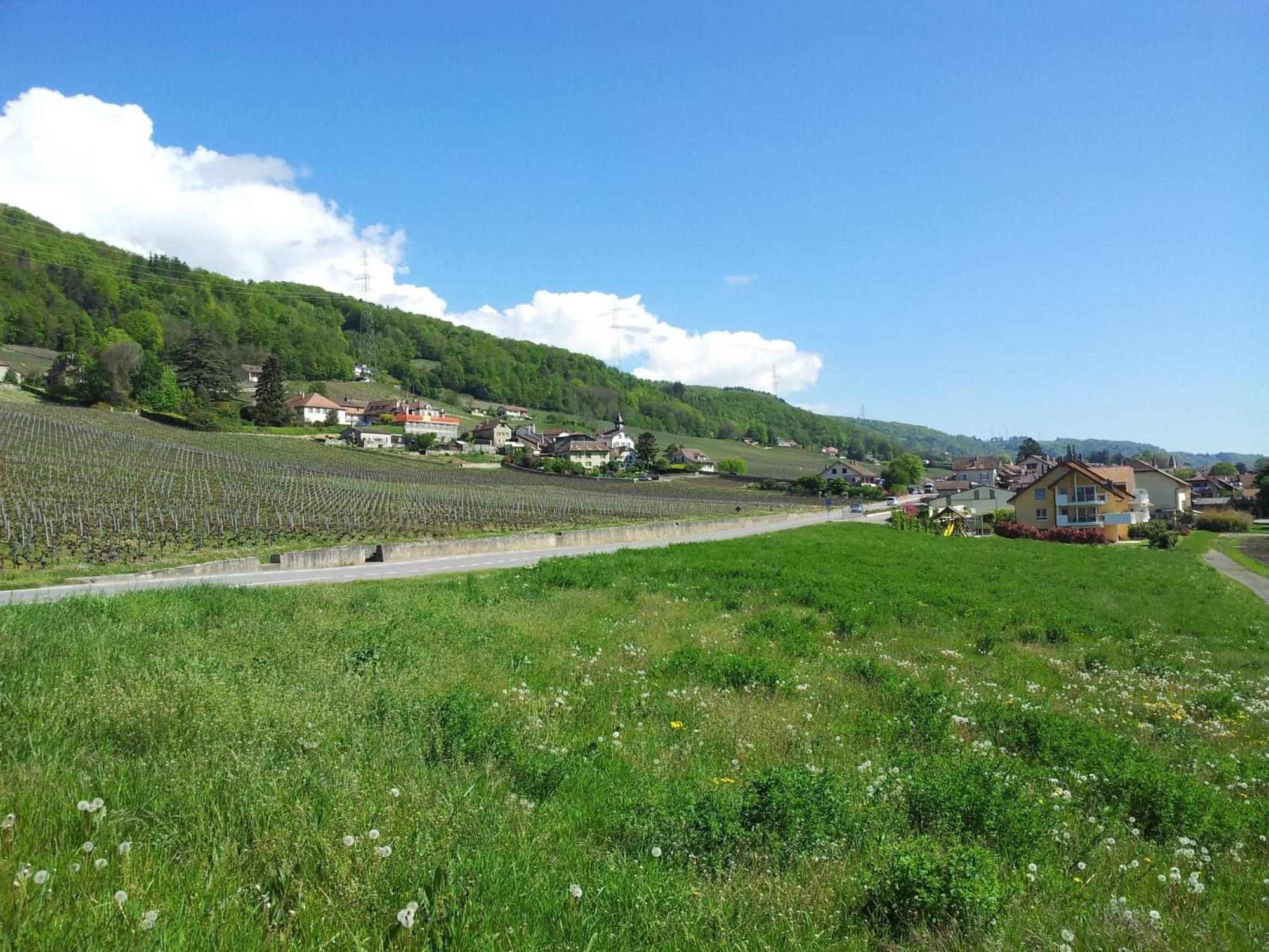 Bed and Breakfast Au Coeur Du Vignoble Sur Bursins Zewnętrze zdjęcie